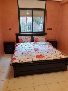 Superbe appartement climatisé